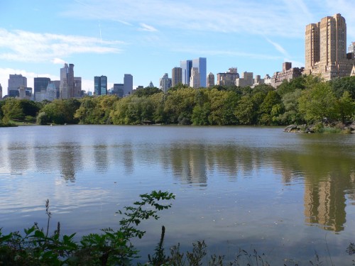 New York - Central Park